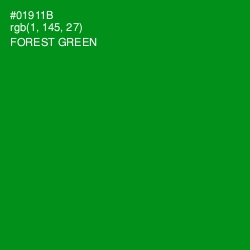 #01911B - Forest Green Color Image